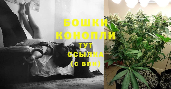 PSILOCYBIN Алексин